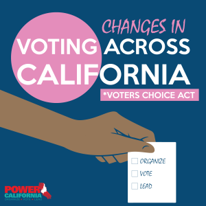 Voting-Info-1