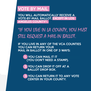 Voting-Info-5